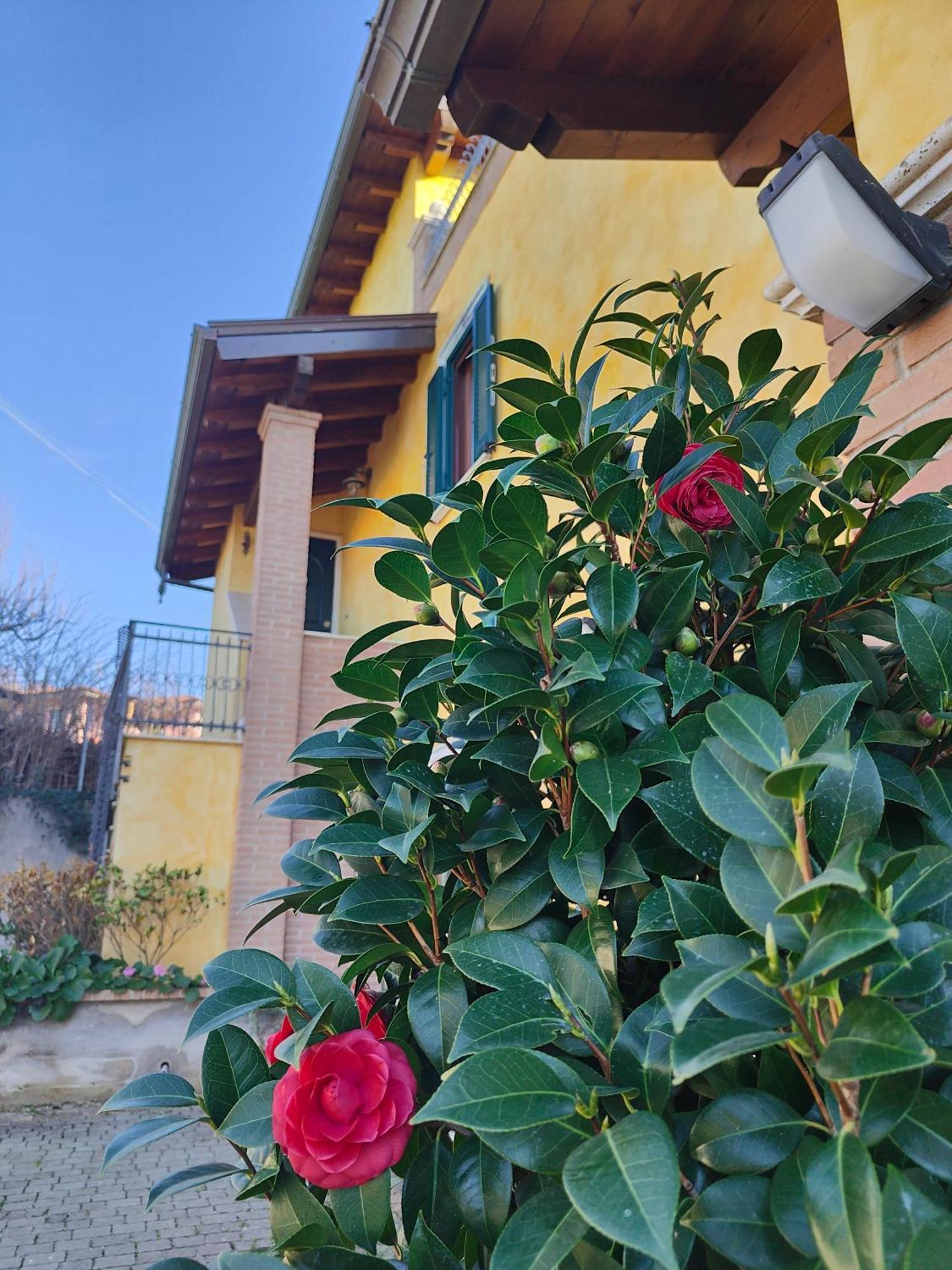 פלסטרינה B&B Camera Delle Camelie מראה חיצוני תמונה