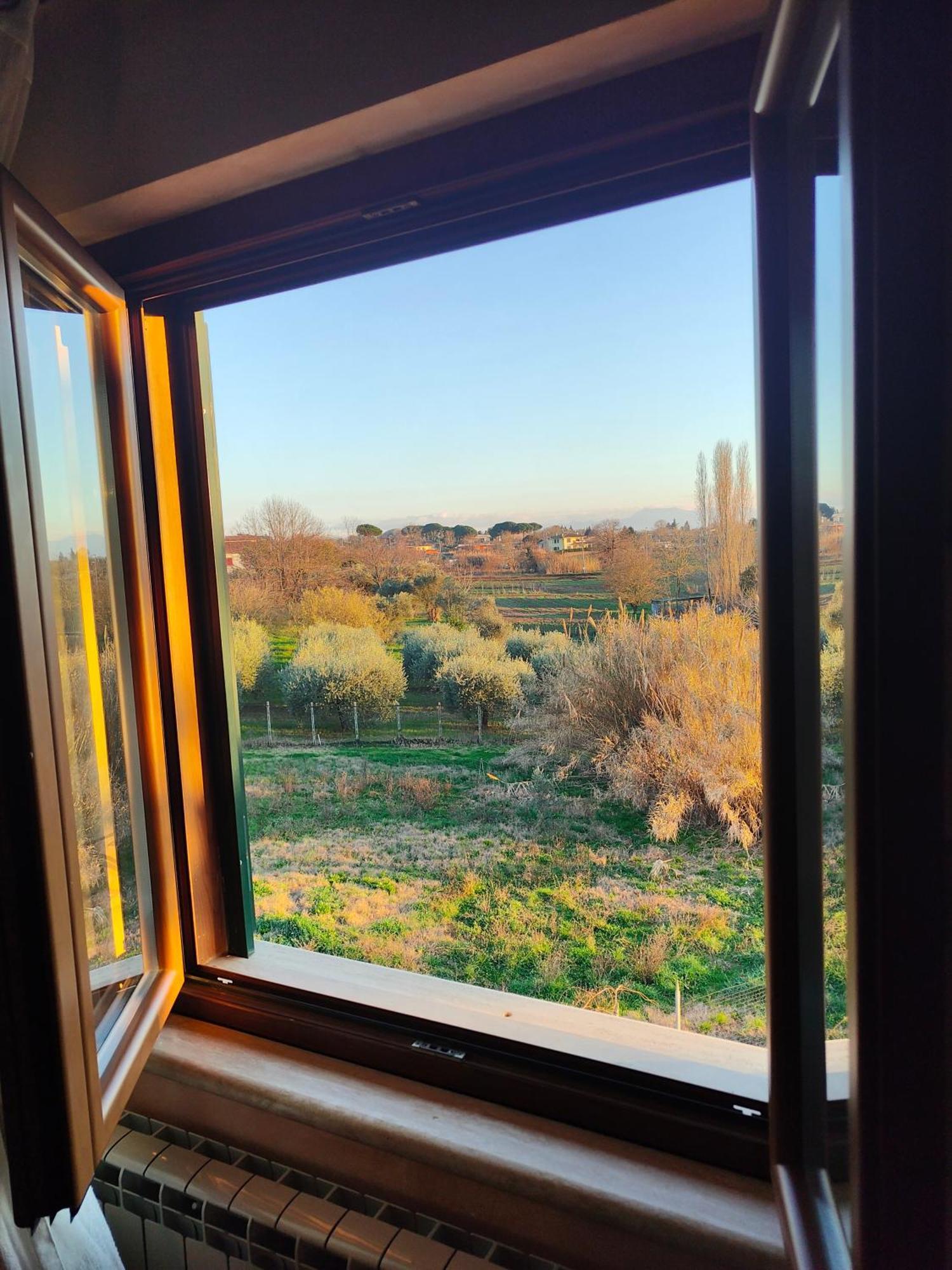 פלסטרינה B&B Camera Delle Camelie מראה חיצוני תמונה